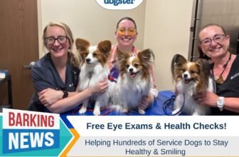 Free Eye Exams and Health Checks for Hundreds of S...