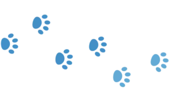 13 Mother’s Day Gifts for Dog Moms in 2025