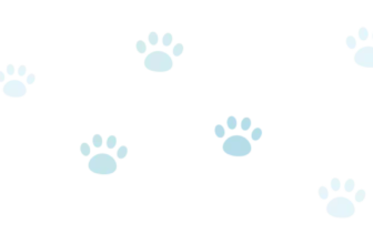 How to Choose a Dog Food: 5 Vet-Approved Tips &amp...