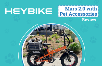 Riding in Style With Your Companions – Dogster