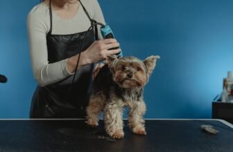 How Do Dogs Feel After Grooming? Facts & Vet-...