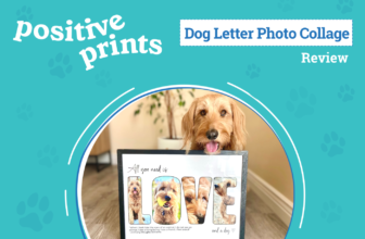 Transform Your Four-Legged Friend into Art – Dog...