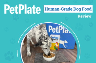 Door Delivery For Your Pup Made Fresh – Dogster