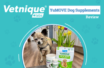 Powerful Joint Care to Fit Your Dog’s Needs – ...