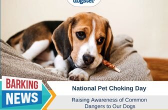 New Holiday Raises Awareness of Common Dangers to ...