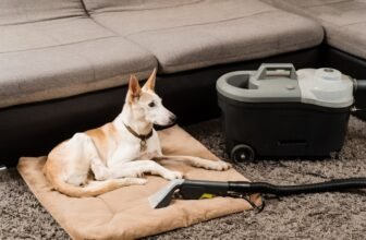 How Often Should I Wash My Dog’s Bed? Vet Approv...