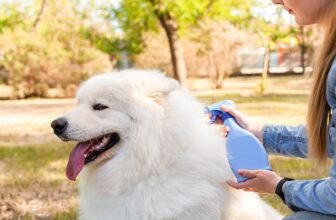 Reviews & Top Picks – Dogster