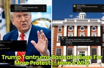 Trump Tantrums Basically Begs For More Protests- H...