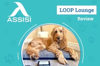 A Natural Way to Heal Your Pet – Dogster