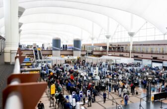 Global Entry vs. TSA PreCheck: Which is right for ...
