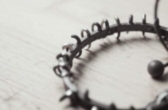 How to Use a Dog Prong Collar with Rubber Tips Saf...