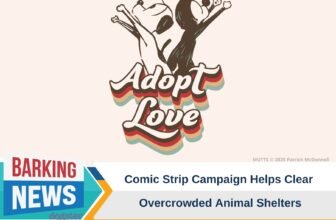 Comic Strip Campaign Helps Clear Overcrowded Anima...