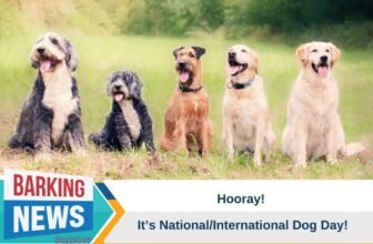 Hooray For National/International Dog Day! – Dog...