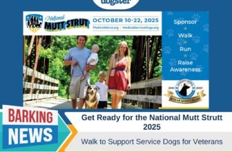 Walk to Support Service Dogs for Veterans – Dogs...