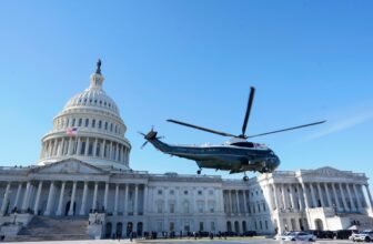 Two teens charged in attack on former DOGE officia...