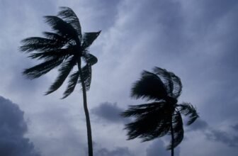 Top travel mistakes to avoid during hurricane seas...