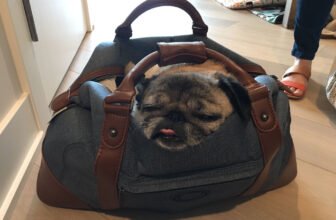 Meet the Squad that Boosts Workplace Cul – P.L.A...