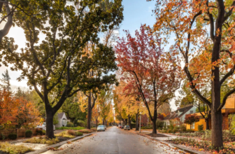 The hidden cost of living amid Mark ZuckerbergR...