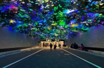 Delta speeds Seoul-Atlanta connections starting We...