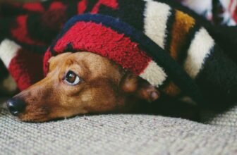 Best electric blanket in 2025 (UK)