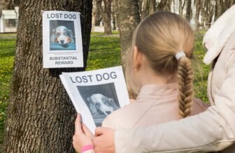 12 Vet-Approved Steps – Dogster