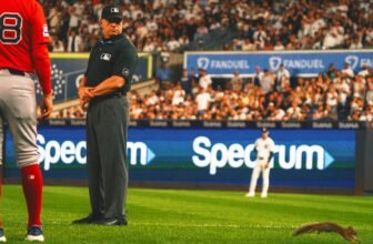 A Squirrel Interrupts Rivalry Between Red Sox and ...