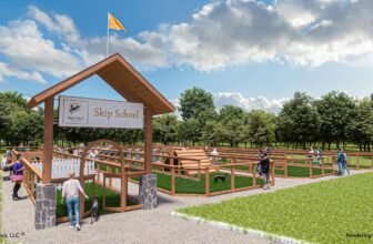 A New Way for Pups to Play – Dogster