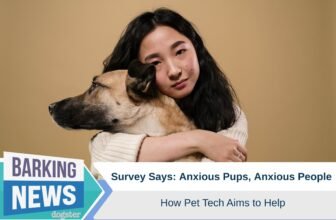 Survey Says: Anxious Pups, Anxious People