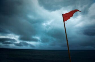 Pilot union urges FAA to reject Rainmaker’s dron...