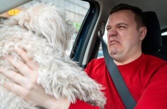 Cringing at Your Dog’s Breath? Try These 15 Vet-...