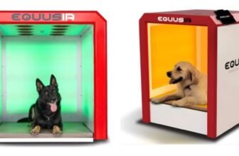 Too Good To Be True or Total Game-Changer? – Dog...