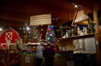 FAMILY TRAVEL: Discover Frankenmuth and Mt. Pleasa...