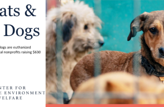 CONSUMER ALERT – Not All Animal Charities Ma...