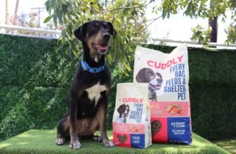The Dog Food That Feeds Shelter Pets Every Time Yo...