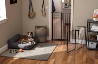 Dog Friendly Apartment Tips For Stress-Free Living...
