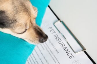 $1 Billion in Pet Insurance Claims