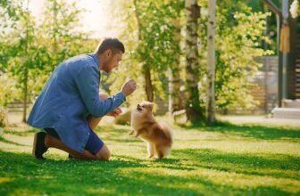 10 Dog Breeds to Consider – Dogster