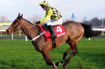 Sir Gino: Nicky Henderson confirms fractured pelvi...