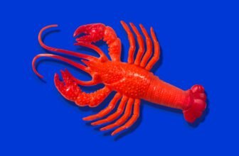 OpenClaw creator Peter Steinberger joins OpenAI