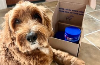 Innovation Is Defining Longevity in Pet Health –...