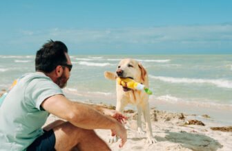 Dog-Friendly Labor Day Activities & Travel Id...