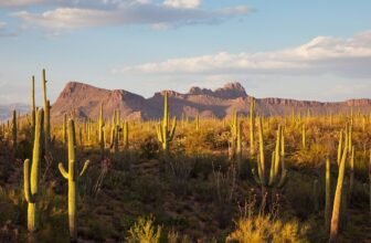 11 best US spring break destinations in 2026