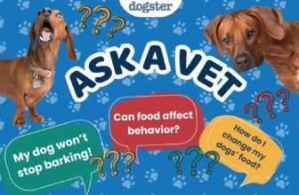 Ask Dr. Paola- Help! My Dog’s Won’t St...