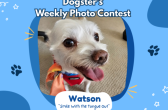 Smile With the Tongue Out (February 19, 2026) – ...