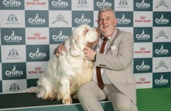 Another Winner, Another Controversy – Dogster