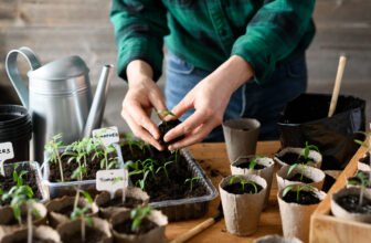 7 Frugal Gardening Tips And Tricks