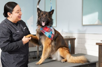 Stock Up, Look Sharp, and Save While You Shop at P...