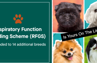 Kennel Club Quietly Adds 14 Breeds to High Risk Li...