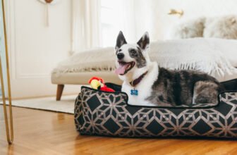 Recovering from Surgery? 8 Tips to Make Crate Rest...