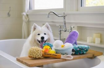 Tips for Healthier Cats and Dogs – Play Pet Bran...